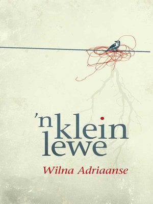 cover image of 'n Klein lewe